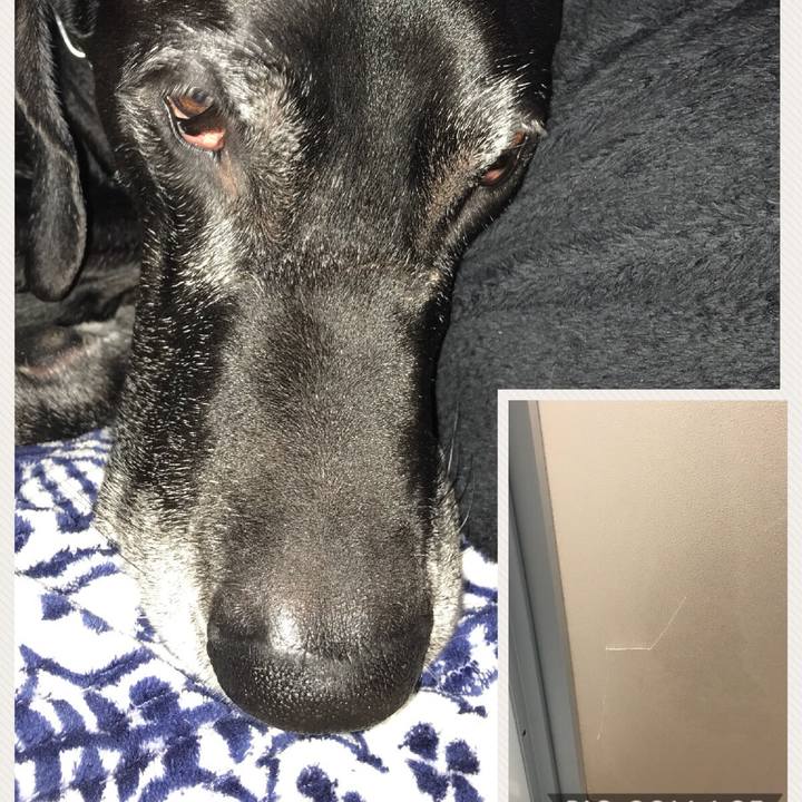 5e0dcb29 5a55 43f1 9823 3261c5d83db5 1515394644059