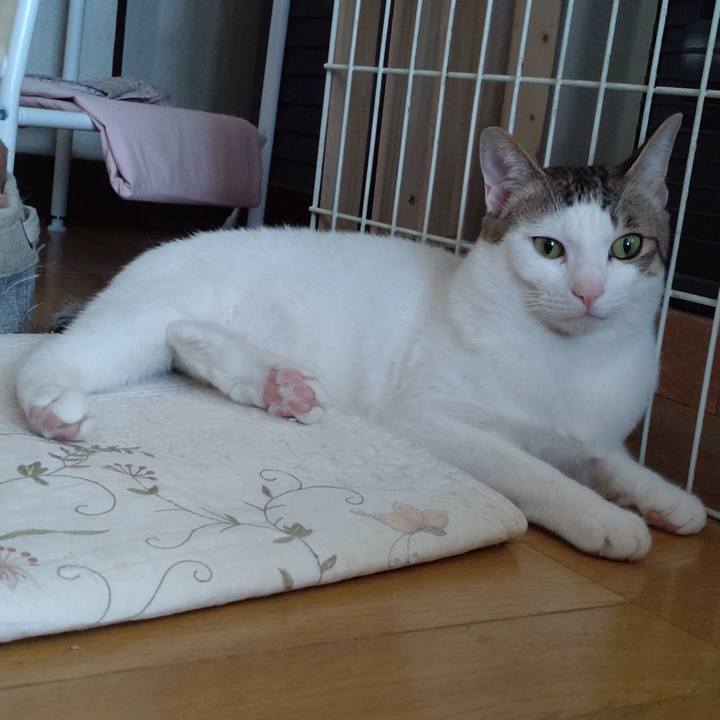 5e0e10d2 1688 4ca0 89d1 8e3a59ed452c 1679356880948