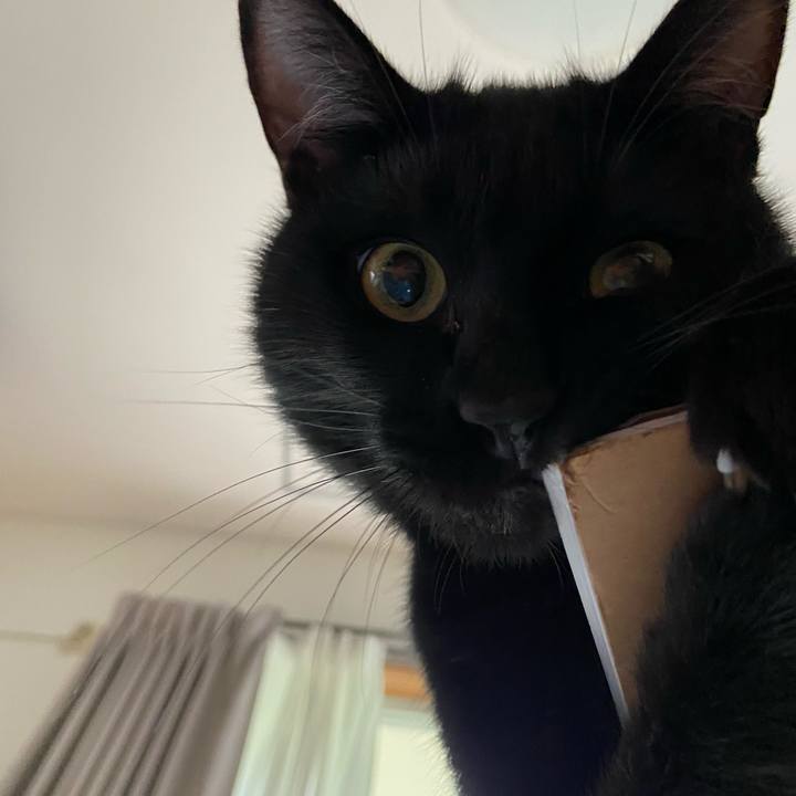 5e0ea2be e552 4c22 818d d1abb4d6d1c2 1623669398946