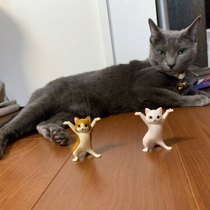 5e0ed8de 03e5 4154 b365 30e5f0a5a924 1622538210551