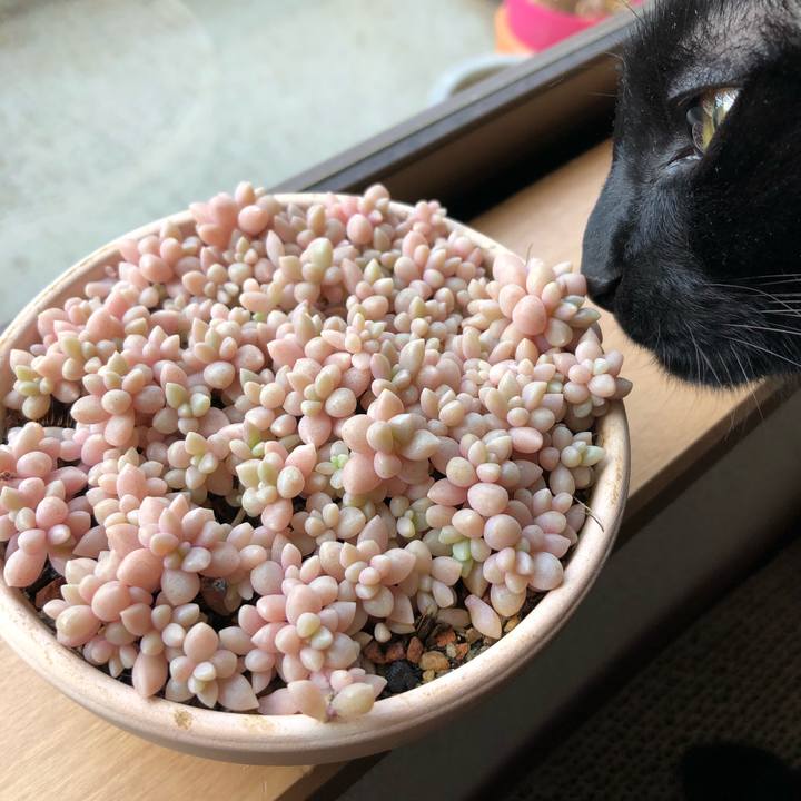 5e0ef190 e16b 464c a6db 03a5edcd14df 1525082763645