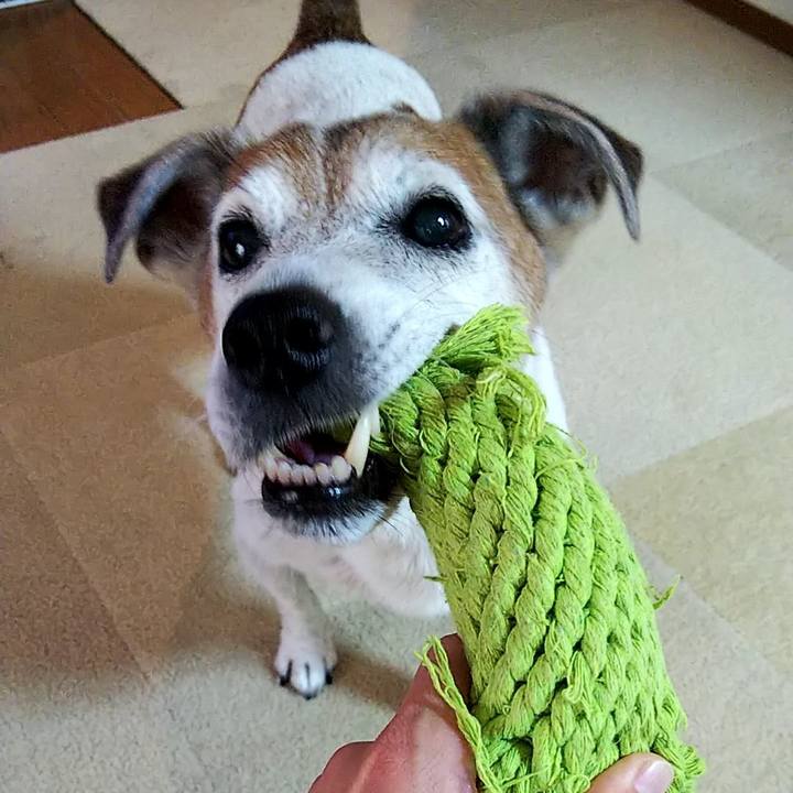 5e0f4cbd fd8b 47ca 9925 fecadb24af36 1563525701834