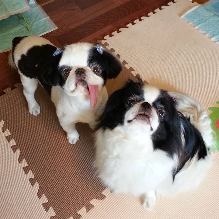 5e0f5652 7308 4083 8286 2eab29175bde 1660534308904