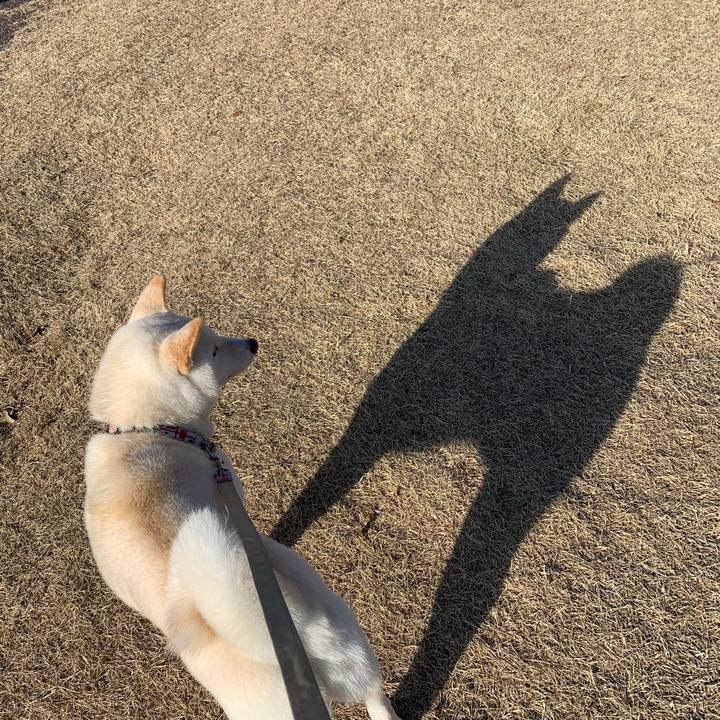 5e0fd042 23ac 4f7f 8d93 1c61405b74c8 1582419115948