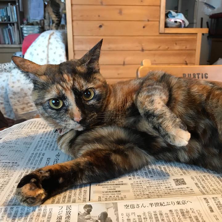 5e0ff8cb a340 45cf 9124 3d5b1193b400 1645135337769