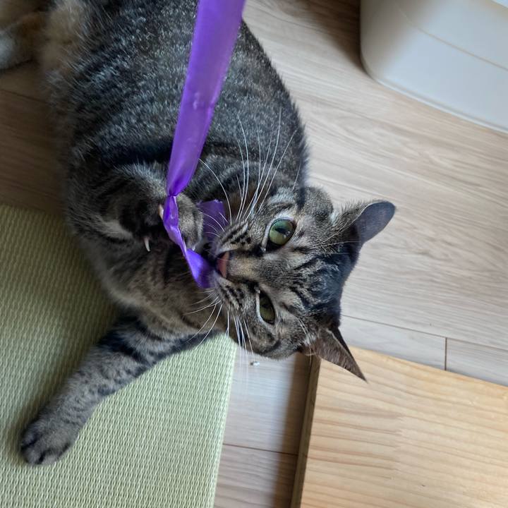 5e101a5f a3fc 4be1 b688 4eef7239ed5a 1724546724824