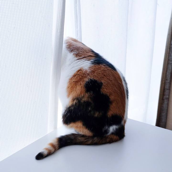 5e101b83 224d 46bd 9eb6 e962d5f721eb 1554966473413