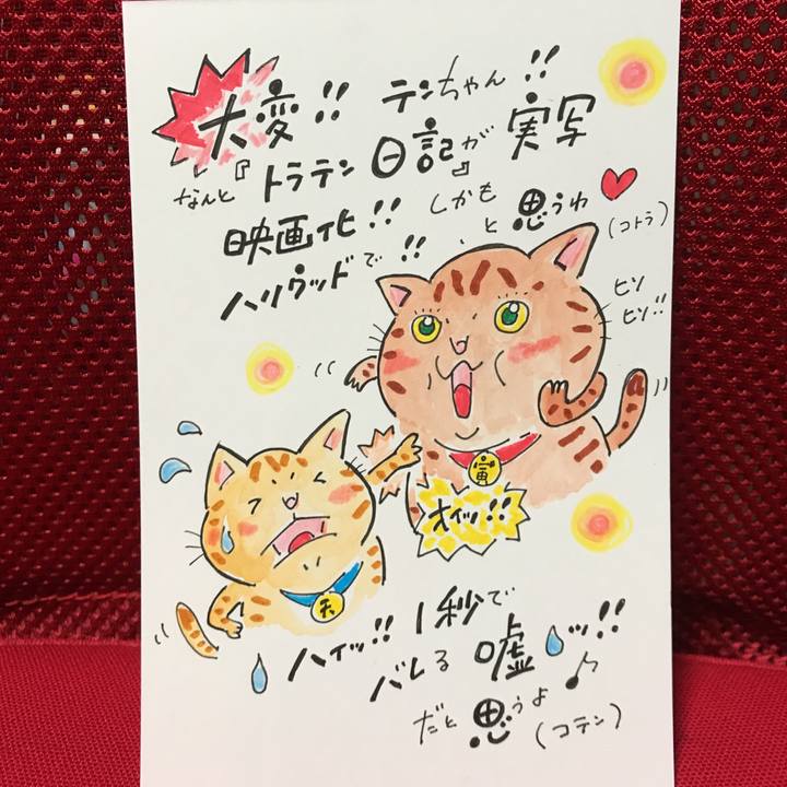 5e102a57 ed84 4130 b55a ddd58777b6b0 1554124000486