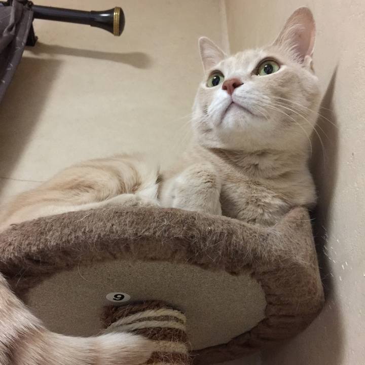 5e1039ef d643 4b45 83e4 c06898fb8607 1580390439382