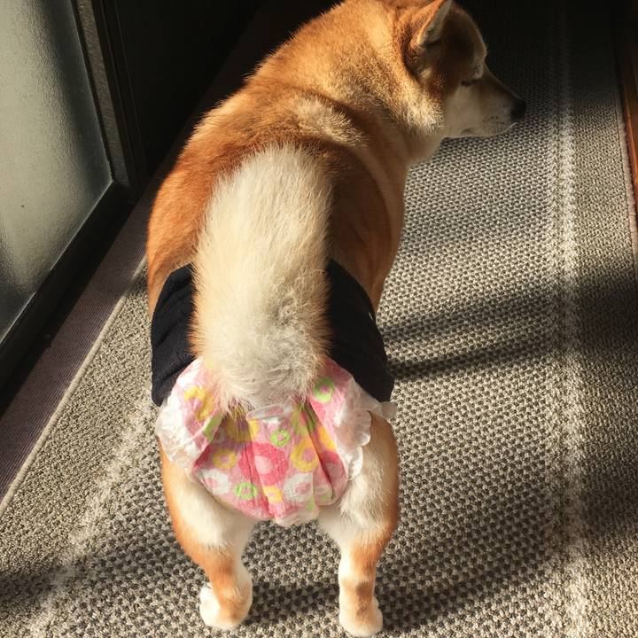 5e107b93 b5b4 4087 a334 2b18b1684803 1610320433141