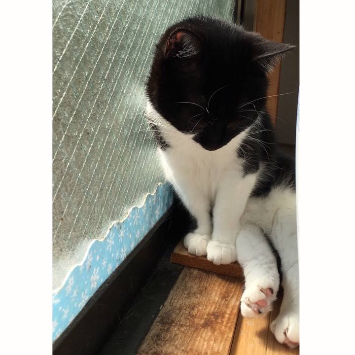 5e10dd35 628d 459a 951c 90a1daf7e601 1554185772796