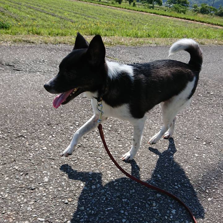 5e1113cf 05bf 4aa4 96eb 260cf4617902 1528073342887