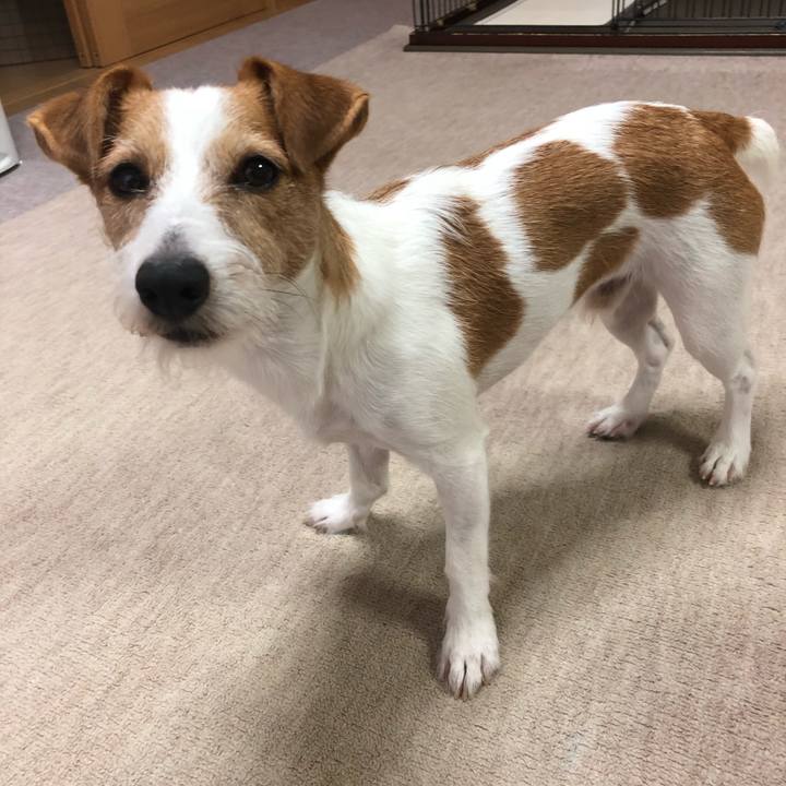 5e111b19 5558 41e5 8e1b 2c81d35e786e 1537427022007