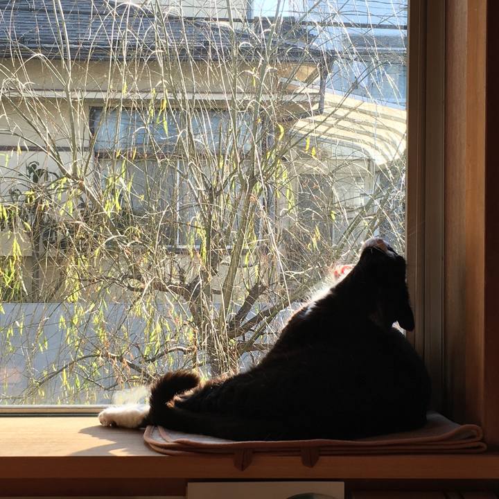 5e1128c7 9cf7 4d72 86fd cf7f3514a620 1580860499104