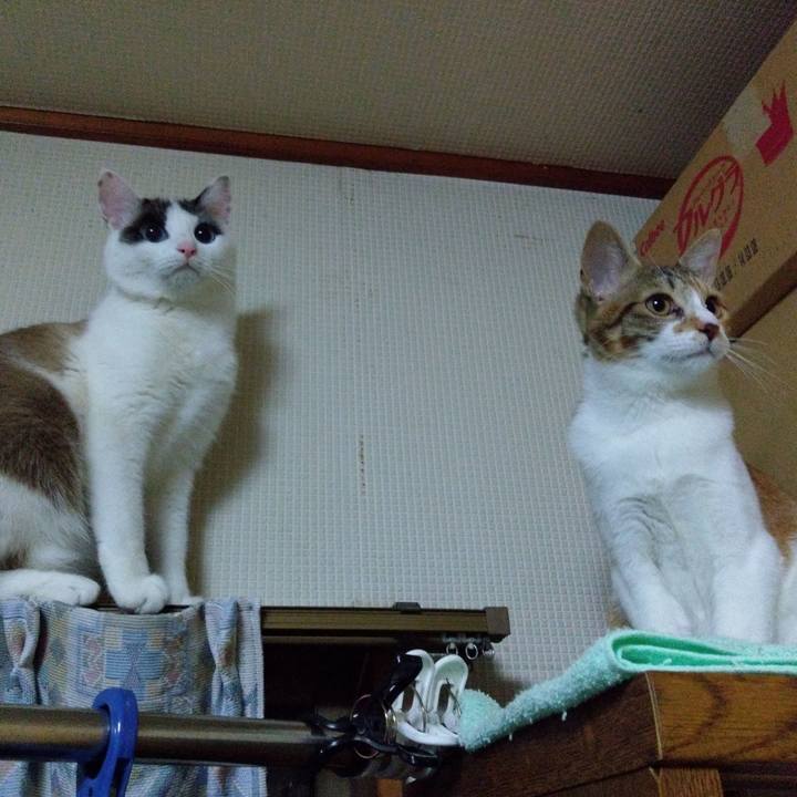 5e11741c 681d 49ba 8e58 322e0449e3a8 1549114324631