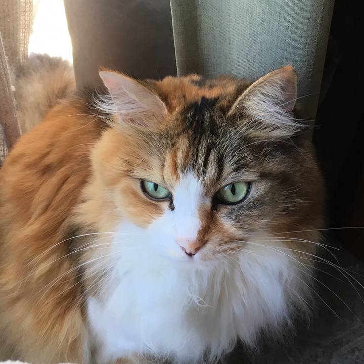 5e11df6e ba1b 451d 9555 4f38ef16ab01 1569296276847