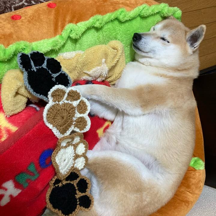 5e11f02e 2936 48bf 985d 94d939f1cc9b 1617021129582