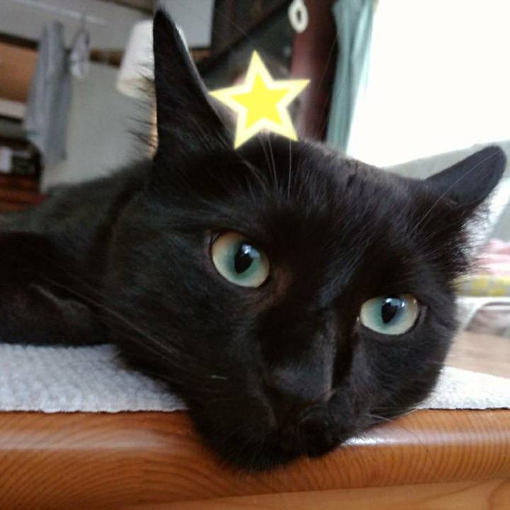 5e12544d 441e 4979 bd4e f9c4ef8ce543 1592105386453