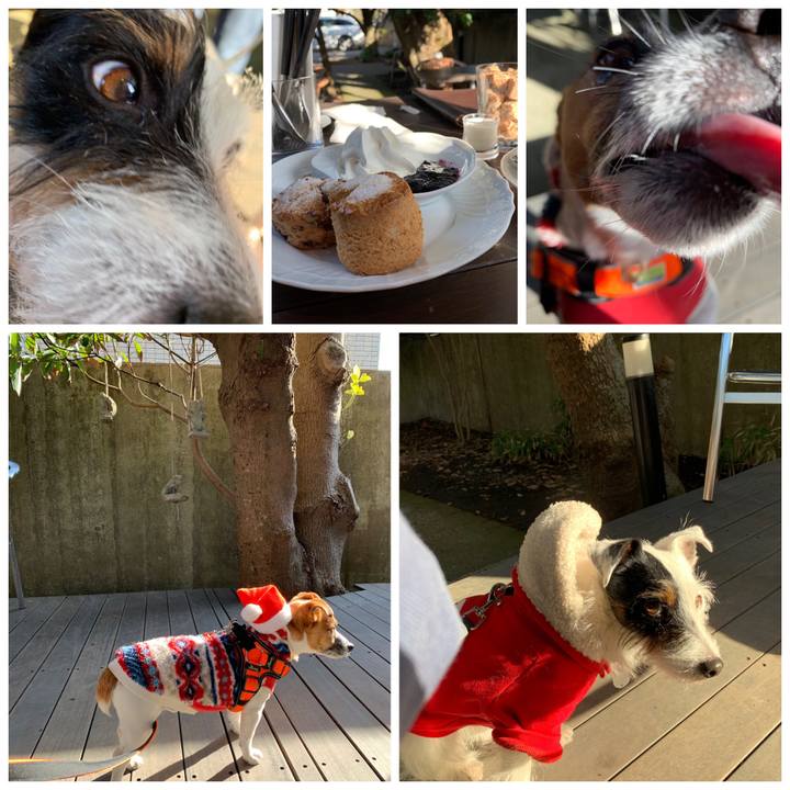 5e126272 4217 478e a4e9 f31f7dff6b17 1545720785023