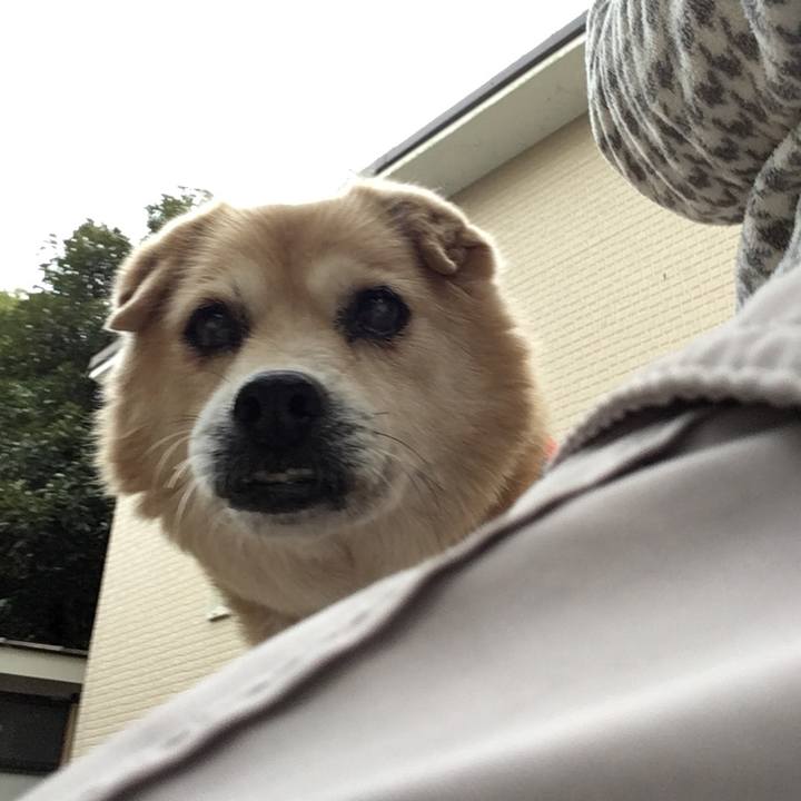 5e126744 68d5 4126 abcb 1aeafc22d3a0 1552899748664