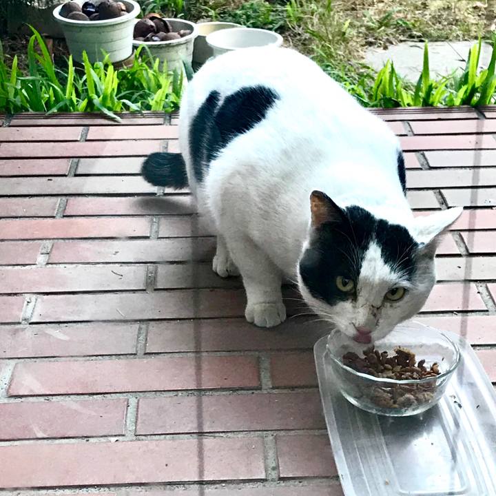 5e12b65d 504d 45fe 80b6 6c30e7795553 1514783836373