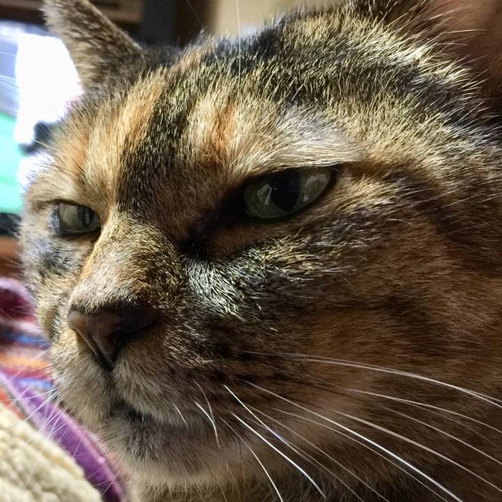 5e130837 1d6c 41f8 921b a7370471c160 1544969937144