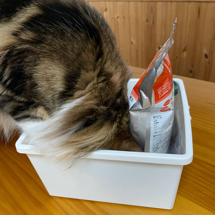 5e1312f2 25f6 4097 a3f2 0a395681ca51 1645926871114