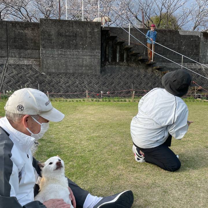 5e132d83 58fa 4375 8fed f63df65c1b76 1680094396473