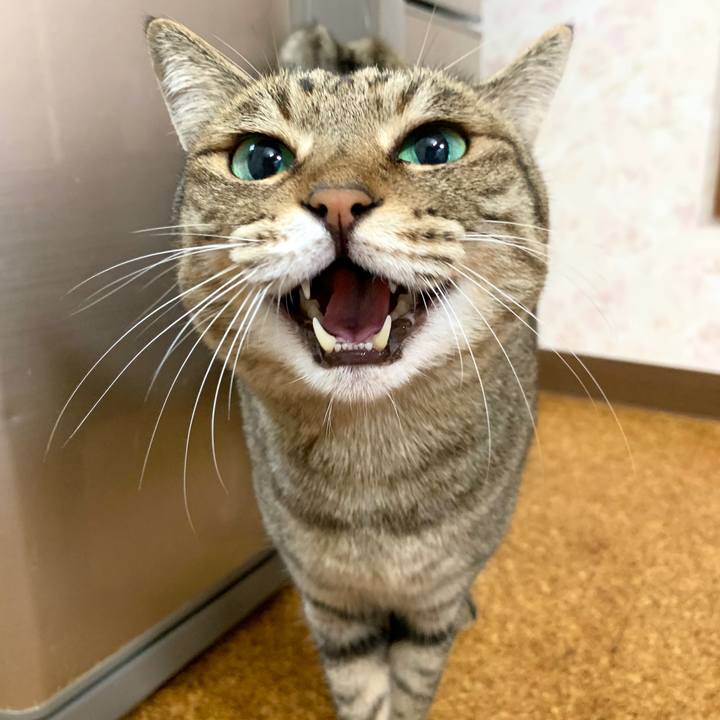 5e13372a 3e69 43d4 8d2d 99e11093728f 1591174869163