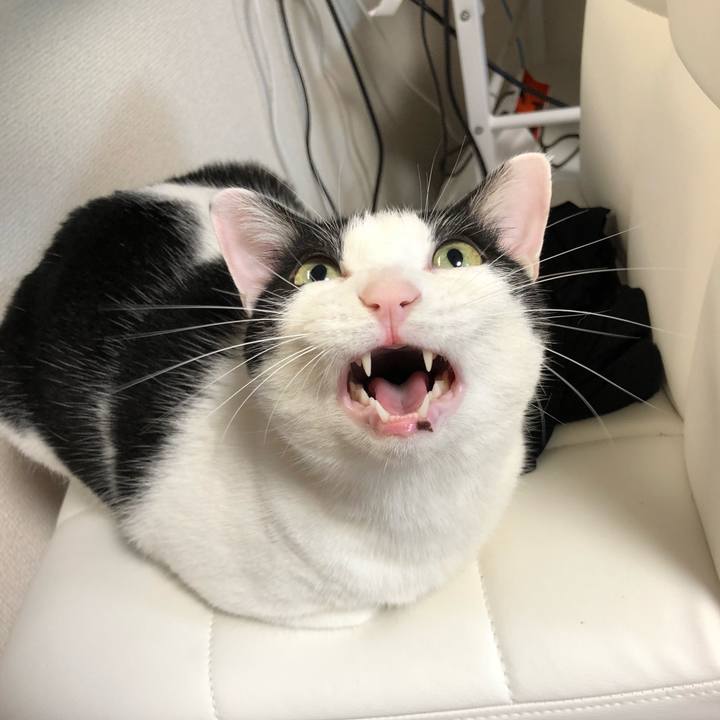 5e13396f 0bc5 402c bab6 31609bb78576 1543320830520