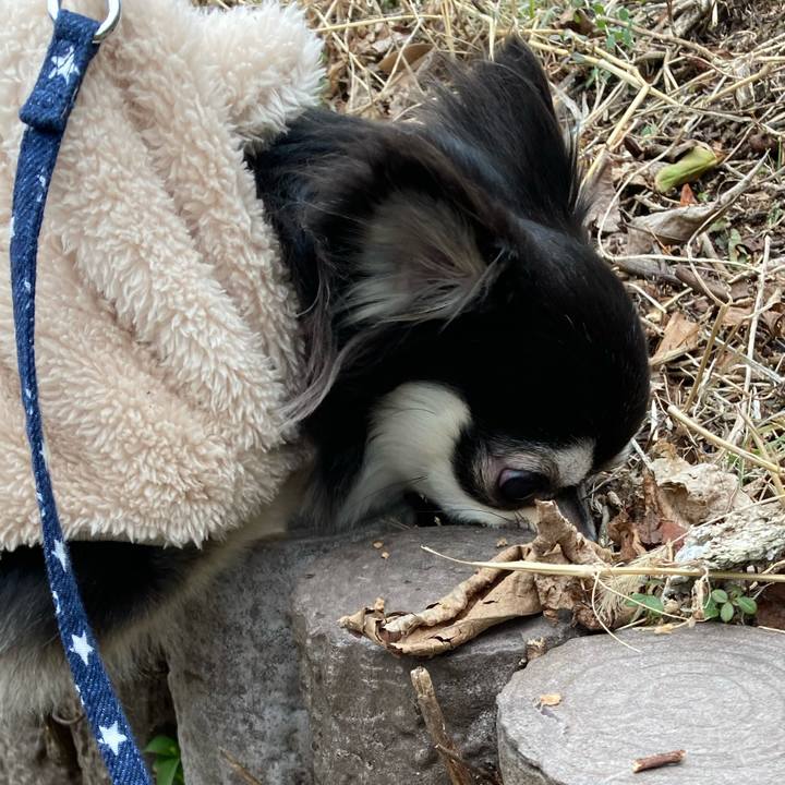 5e134ad5 6278 4dc9 924f fdcb7100803e 1642914234144