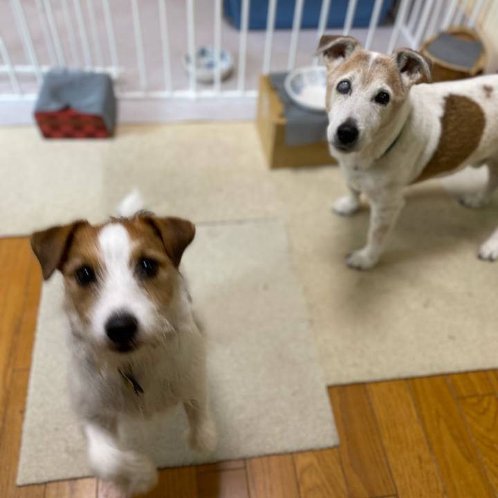 5e136b14 1f72 424e a2d7 dda784bf8268 1680913671388