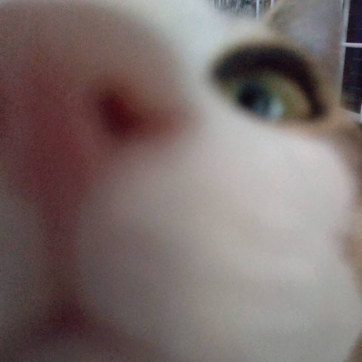 5e1397b3 6aed 4550 a268 8ccf3d5e2cca 1652515706948