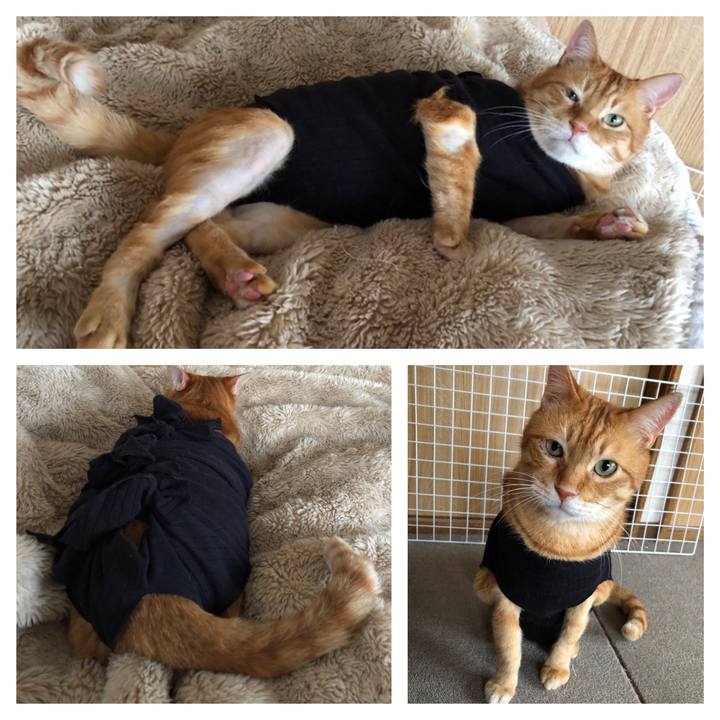 5e13af99 944f 41f9 bf78 1f4b8d25f21c 1681548096144