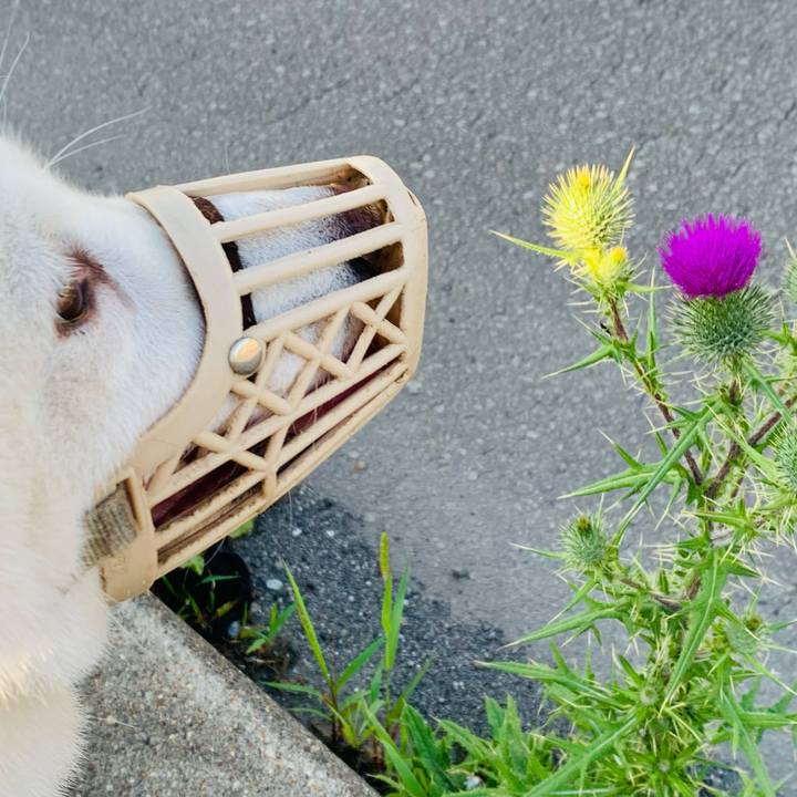 5e13b0fd 03fb 4e25 b002 64860c439254 1658438602172