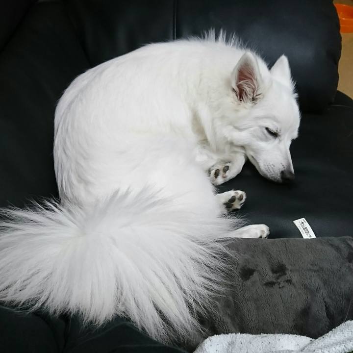 5e13d5bc 932e 4404 afdb e852bcb8b235 1510237503488