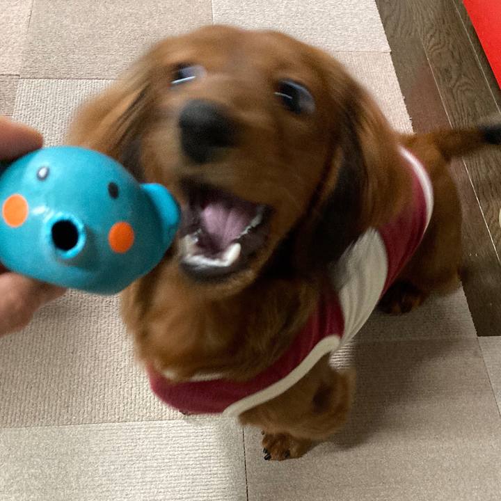 5e143435 e87c 4961 ba59 a896ff22fb6b 1705312115724