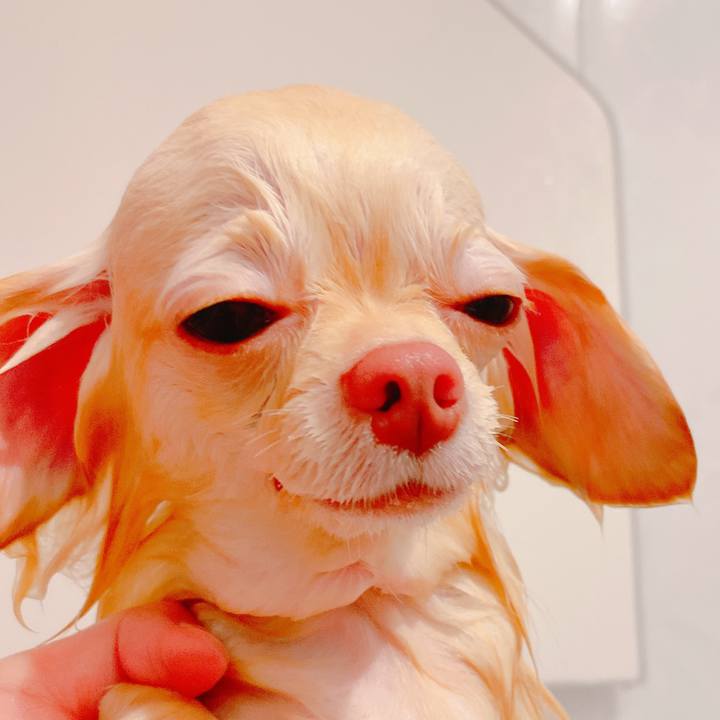 5e144696 bf5a 4305 9d6b 1c72ba2a7cda 1637984157870