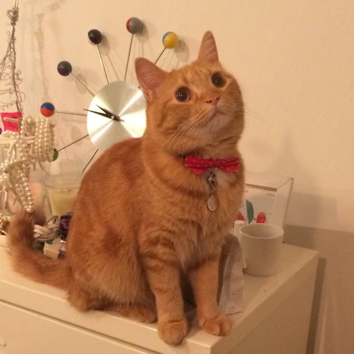 5e146532 e759 4bf0 ab66 1661cbba24b5 1601171135958