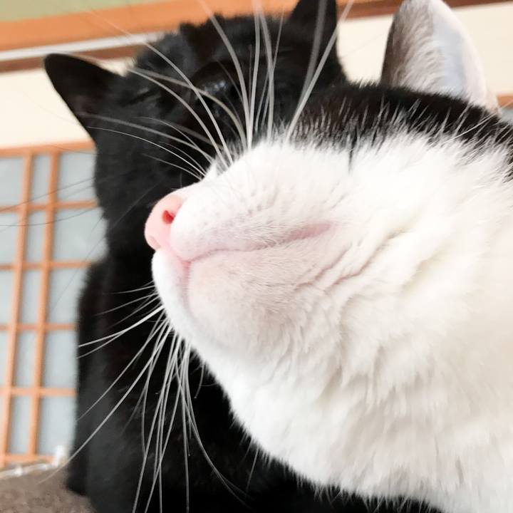 5e149342 966e 4d8f 9f82 8374218d773a 1521162967741