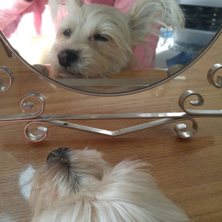 5e14c19d db04 473a 8b71 1c151f37370b 1520894915787