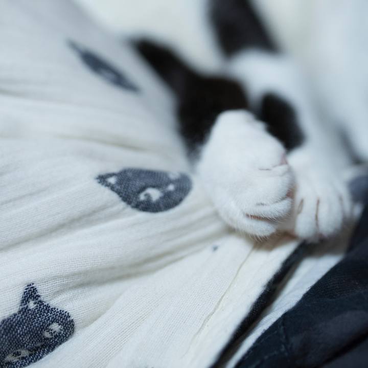 5e14cedf 771e 42e2 9223 7a4a62d45f28 1527568114714