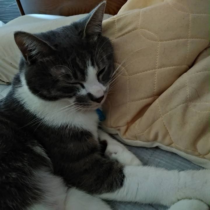 5e154eb5 7c8c 41b0 b04c a459e2465ee7 1586393102468