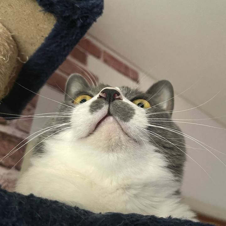 5e1578b2 1dc4 413b a787 165f02683169 1668843203531