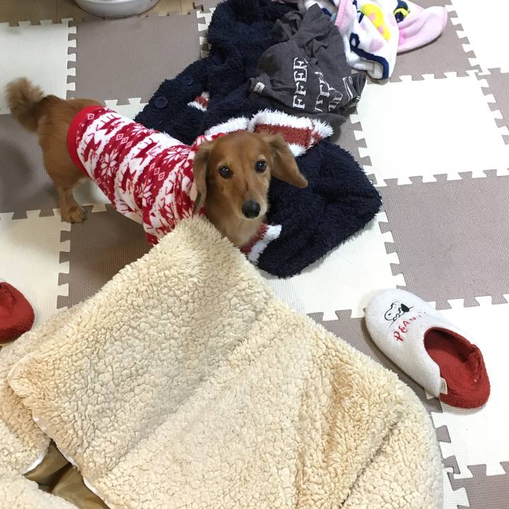 5e15af60 90cb 4b48 8dd4 8ce17f4fe219 1579785422505