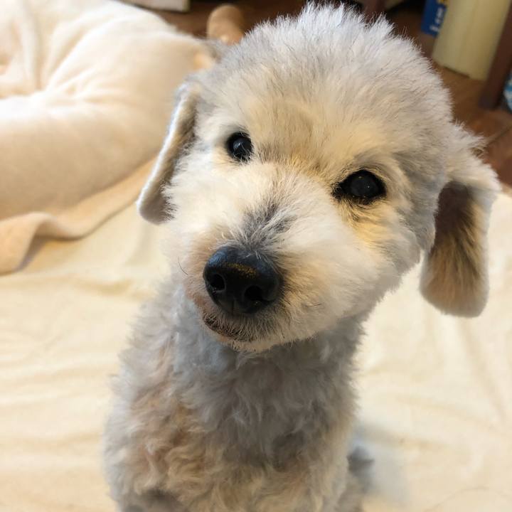 5e15b791 9ece 40c2 90c2 ee485cc1051a 1645145820100