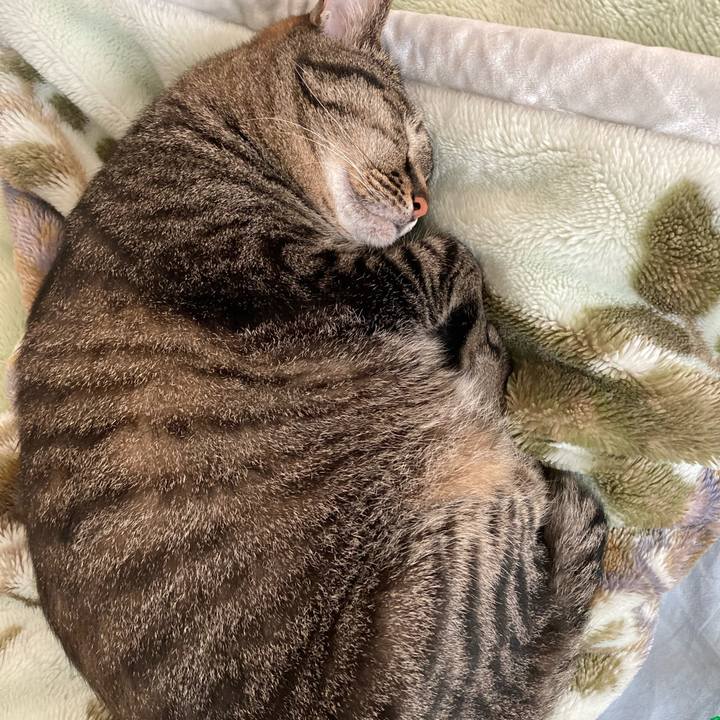 5e15c7ff 61e0 4cb5 b09b 838e62e83858 1650768583327