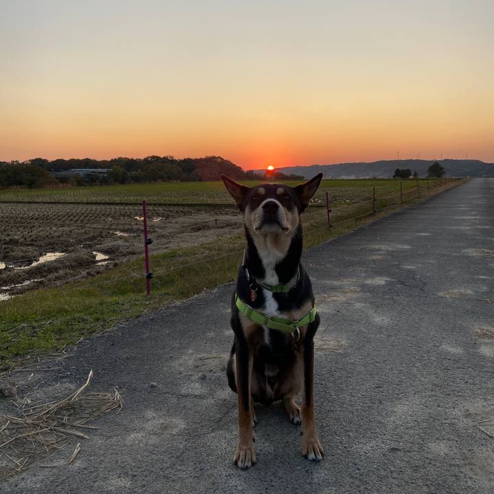 5e163dd6 4555 4d7c a0c3 b8377c8054fd 1605180189893