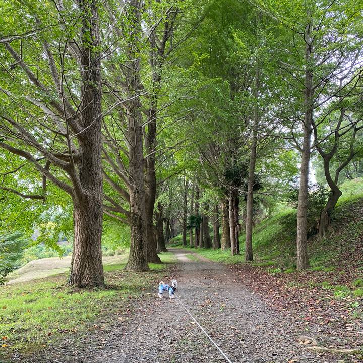 5e166125 b2c3 4a3f a009 629cd5bdf750 1604728029309