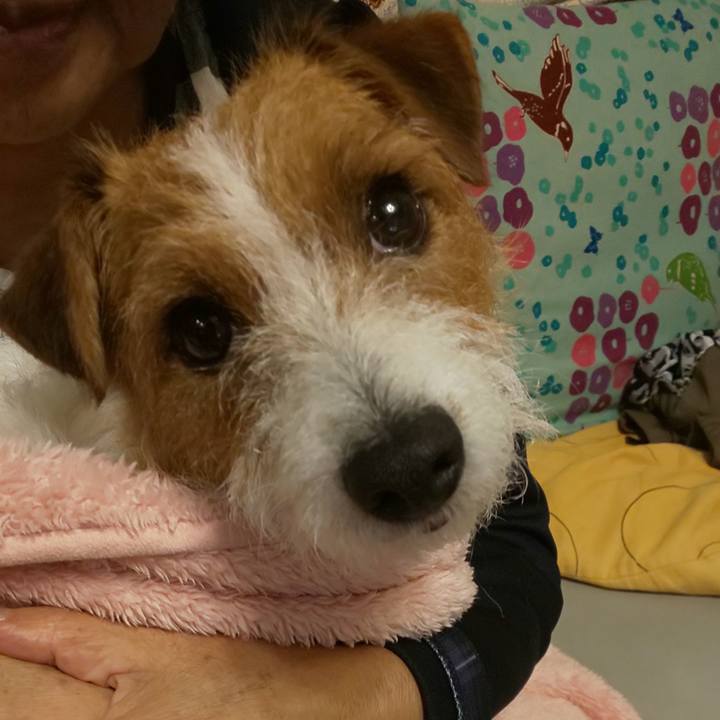 5e1681df 9949 45f7 a959 aa23a7117703 1562112511177